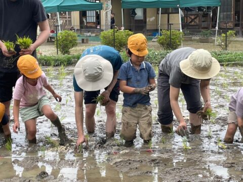 みんな真剣です